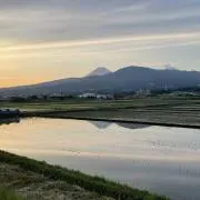 Okku