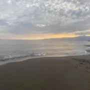 楓の画像
