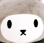 ニールの画像