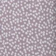 Nの画像