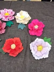 miegooの画像