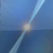 Koaの画像