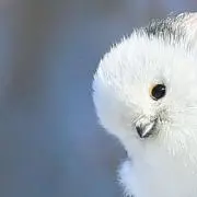 yyy