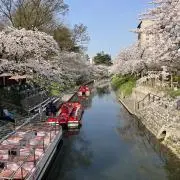 Capitoleの画像