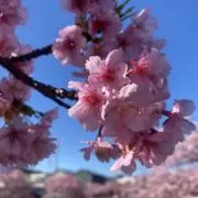 Leap05の画像