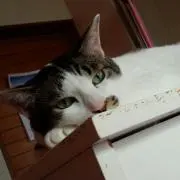 たまママの画像