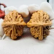 Image of 【文玩堂】高級胡桃専門店
