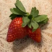 いちごの画像