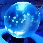 メー太朗の画像
