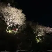 スライムの画像
