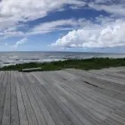 Rieの画像