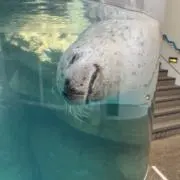 SUNの画像