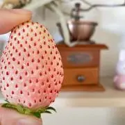 KiKiの画像
