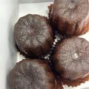 ダンゴムシの画像