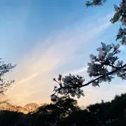 琉生