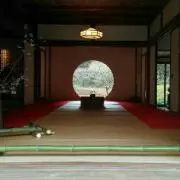ノースポール