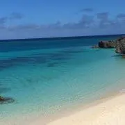 あおりんごの画像