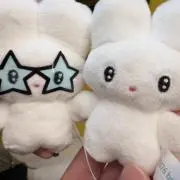 ソラの画像