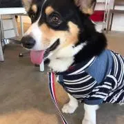 しえる0424の画像