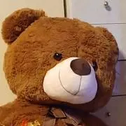 ぽんずの画像