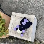 tomの画像