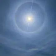 とりっぴーの画像