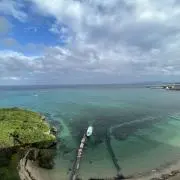 totoの画像