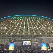 Viviの画像