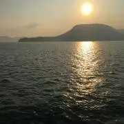 とみぃ