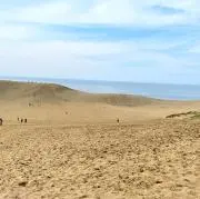ついたちの画像