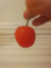 たらこの画像