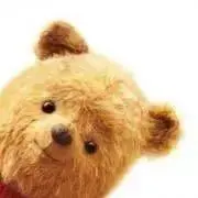 Pooh〜ʕ •́؈•̀ ₎ ✩の画像