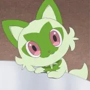 puの画像