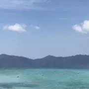 jackyの画像