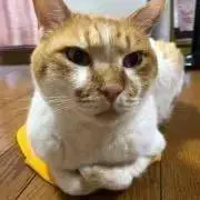 RinRin☆プロフ必読☆