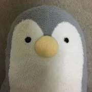 やんぱちの画像