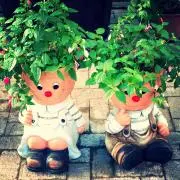 punpinの画像