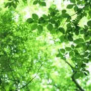 hirocoro@プロフィール必読