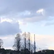 さちぇ