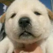 ぽっけ