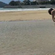 もと