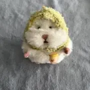 みーの画像
