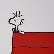 ポッポロの画像