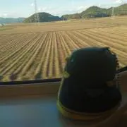 百々目鬼(プロフ確認推奨)