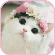 ♡の画像