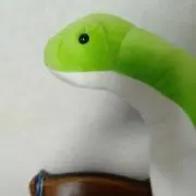 T.A