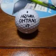 オオタニサンの画像