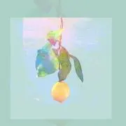 ゆみ