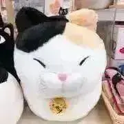 ねこねこの画像