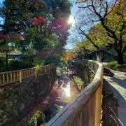 エスの画像